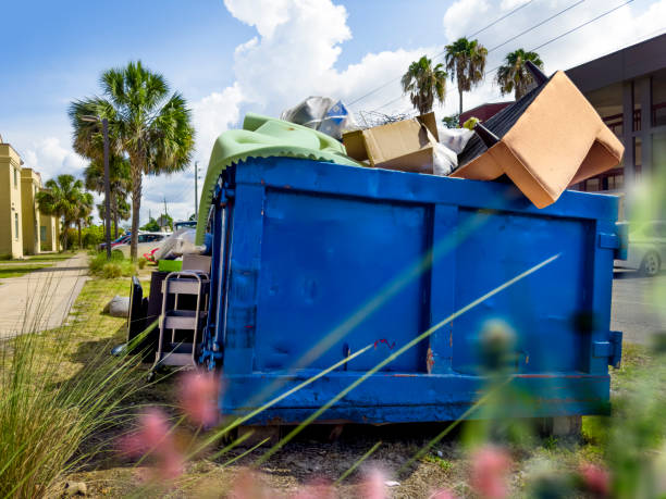 Yard Cleanup Services in Elmore, OH